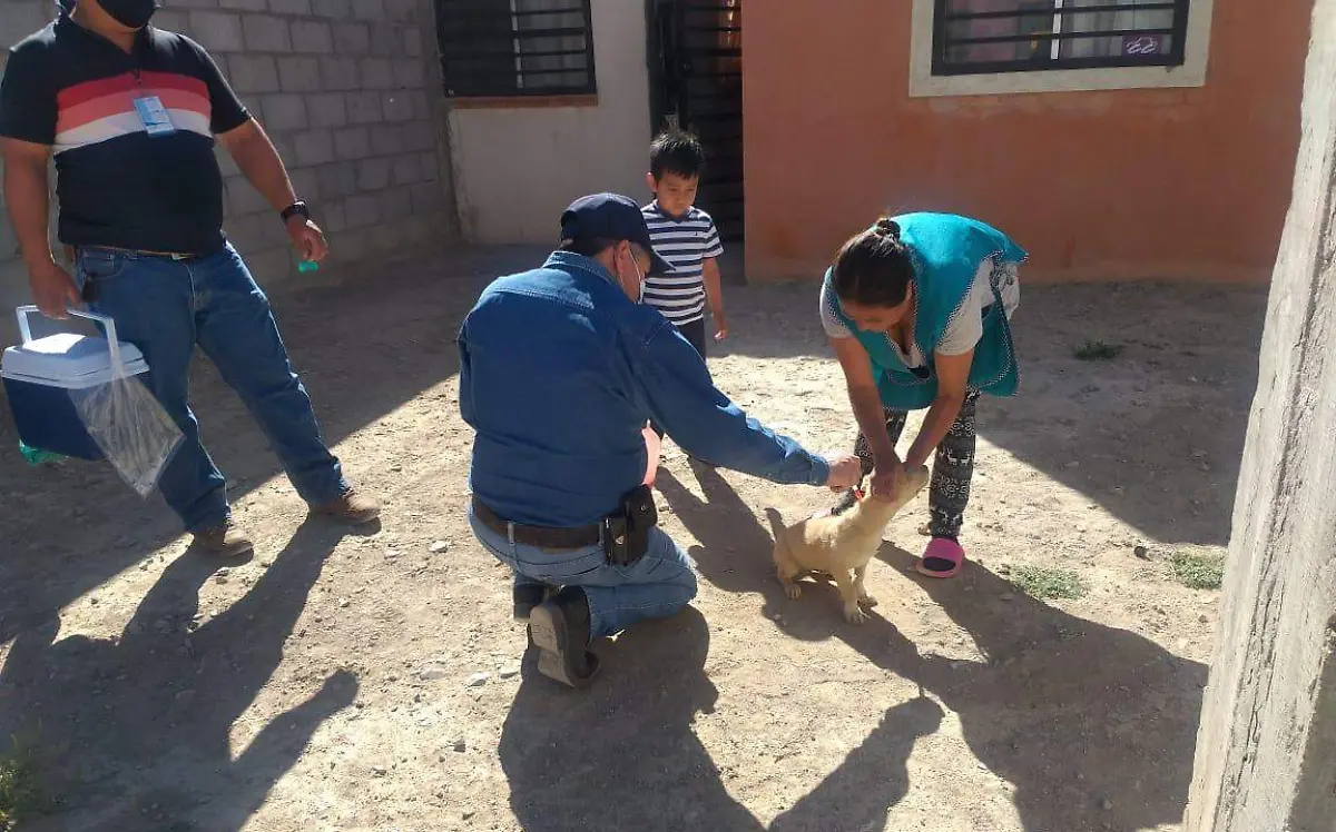 vacunacion 3 nota de javier